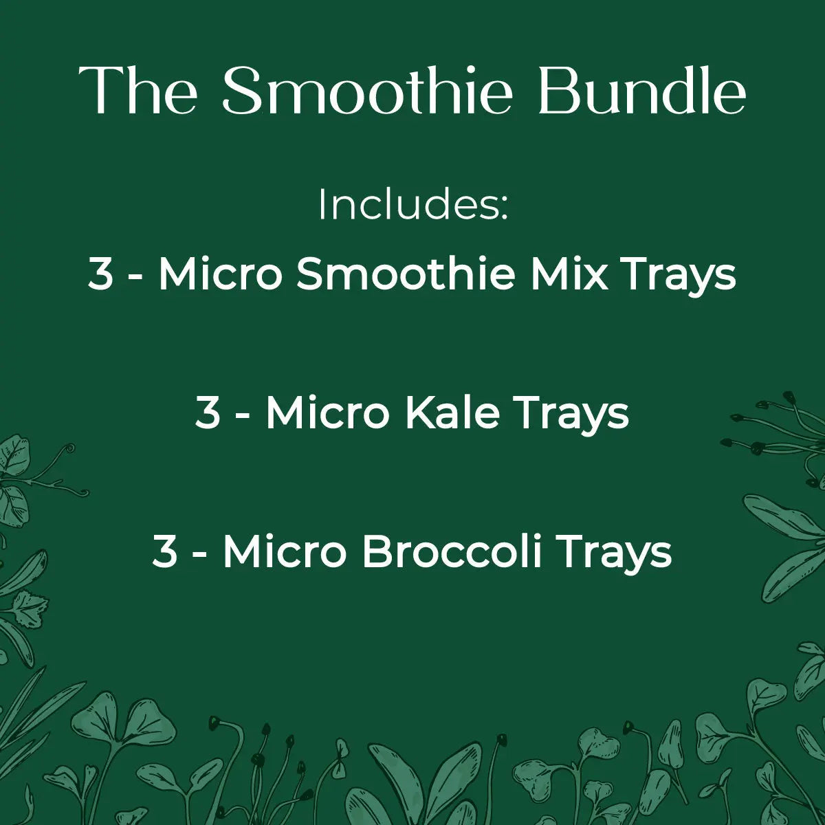 Smoothie Bundle - 9 Tray Pack