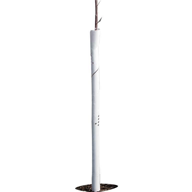 Spiral Tree Guards - 24" (Pack of 5)