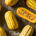 Delicata Squash Seeds – Heirloom, Edible Skin, Sweet Flavor, 20 Seeds Cucurbita pepo