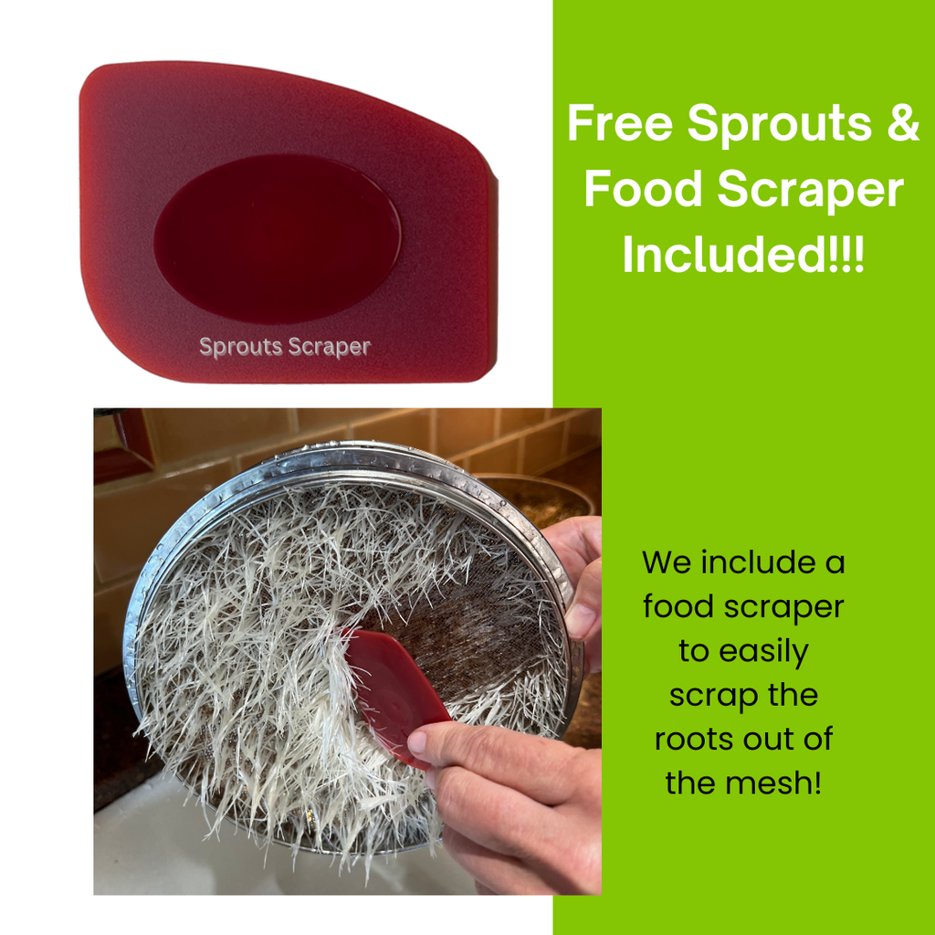 Stainless Steel Seed Sprouter Kit - Stackable 3-Tier Trays