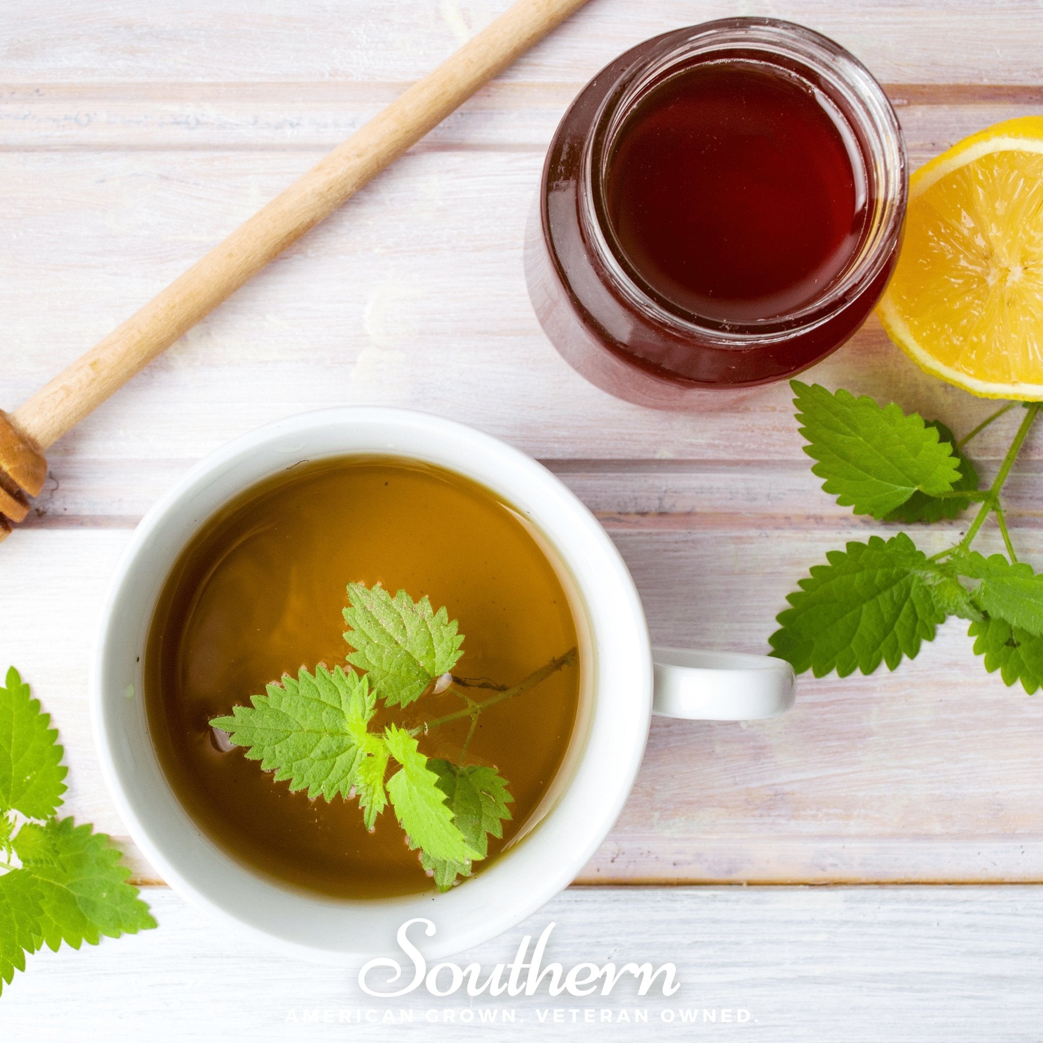 Stinging Nettle – 100 Seeds