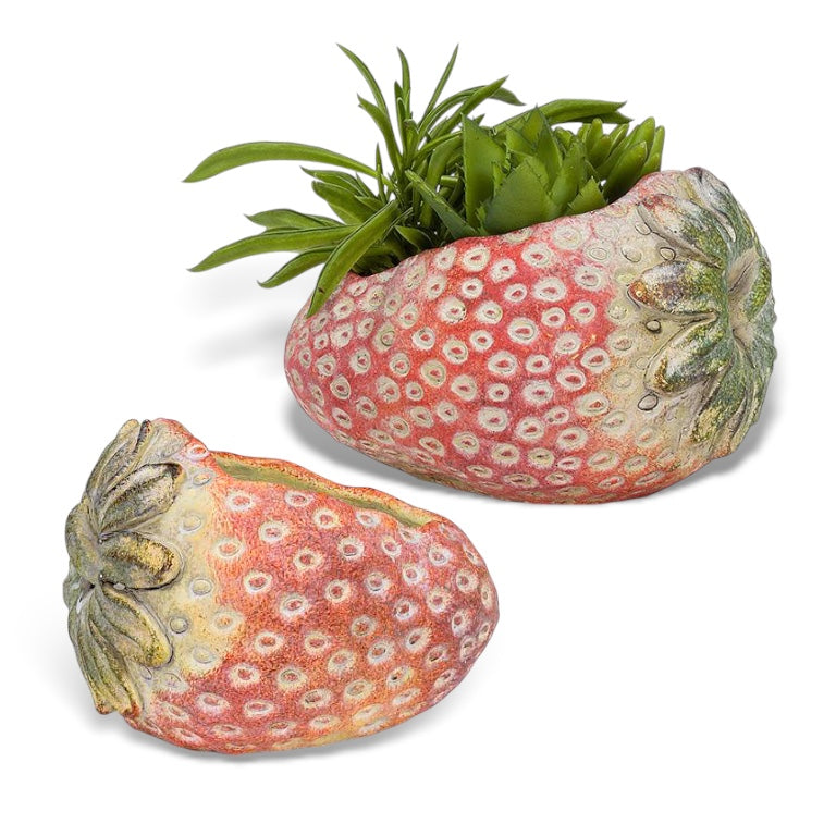 Laying Strawberry Cement Planter