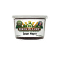 Sugar Maple Grow Kit | Grow Maple Tree from Seed | Seeds In A Cup®