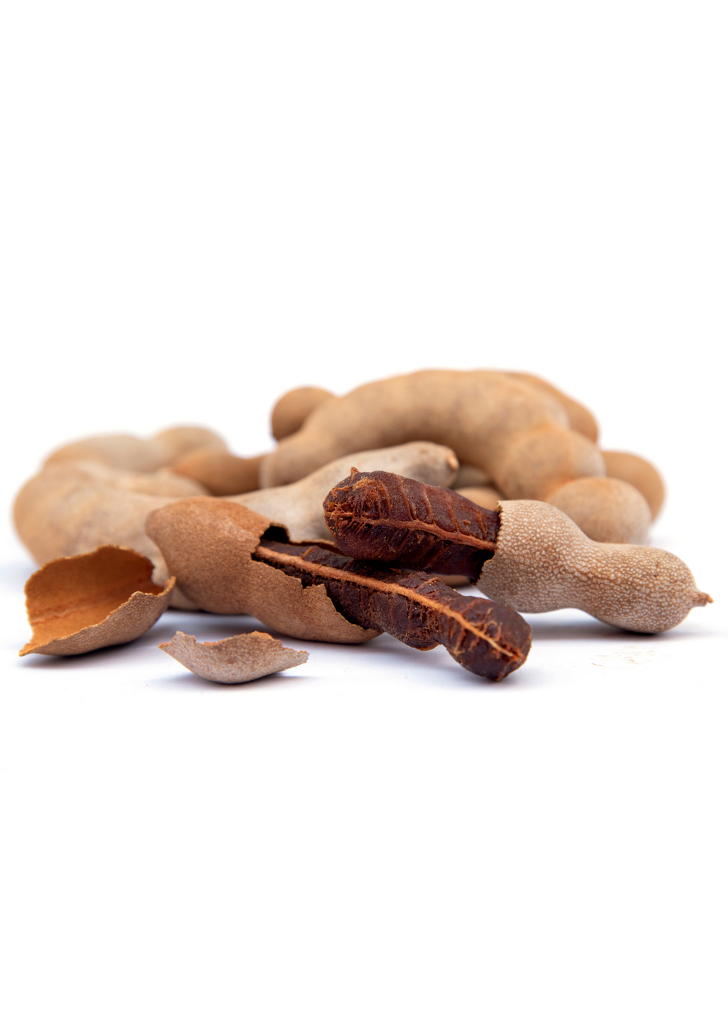 Tamarind 'Thai Sweet' (Tamarindus indica)