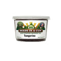Tangerine Tree Grow Kit | Grow Tangerine from Seed | Seeds In A Cup®