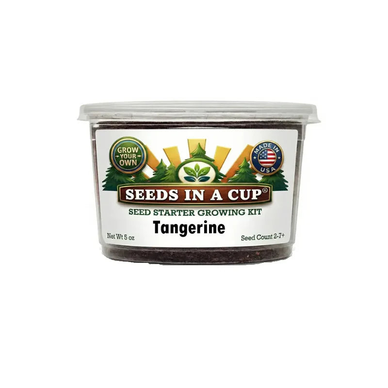 Tangerine Tree Grow Kit | Grow Tangerine from Seed | Seeds In A Cup®