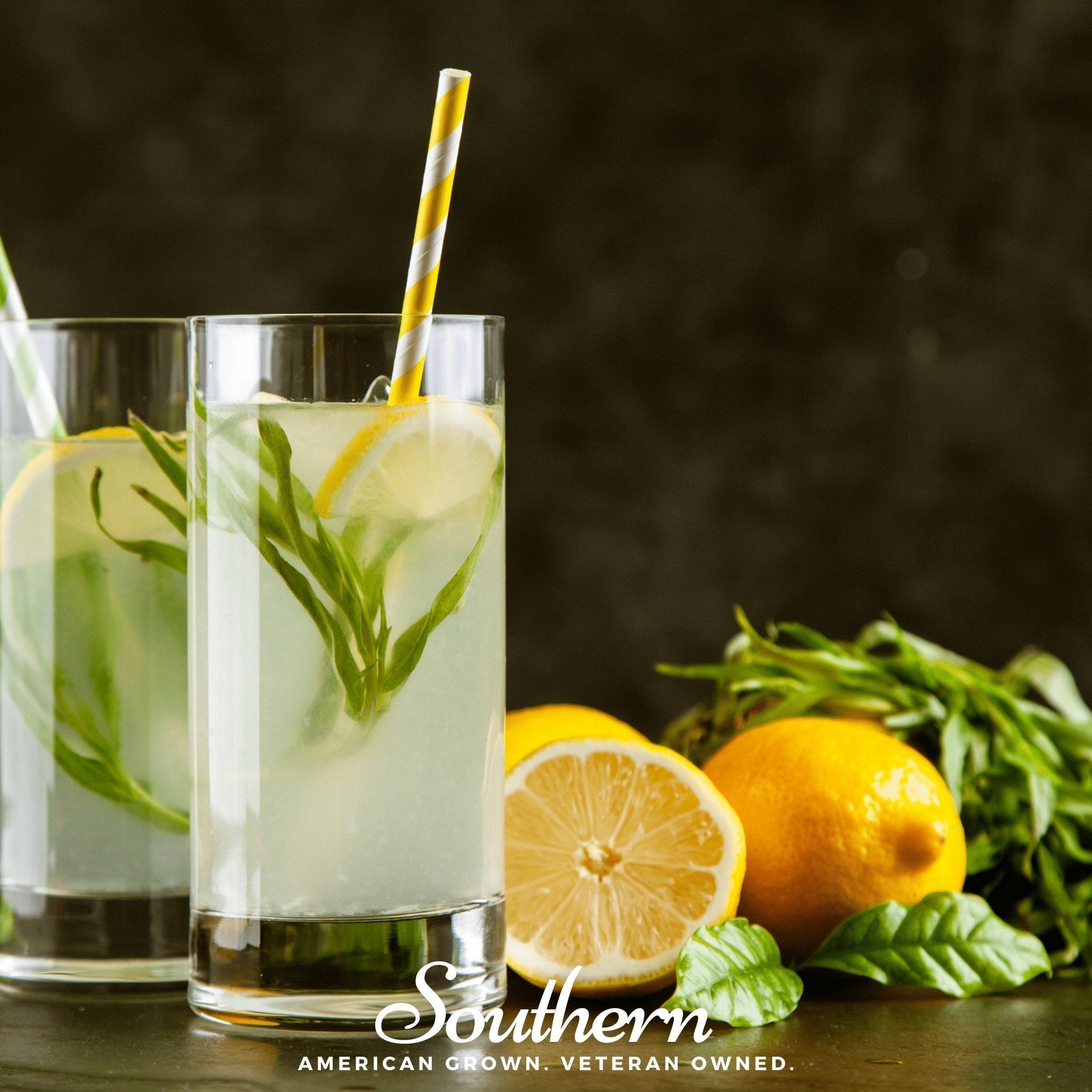 Tarragon – 300 Seeds