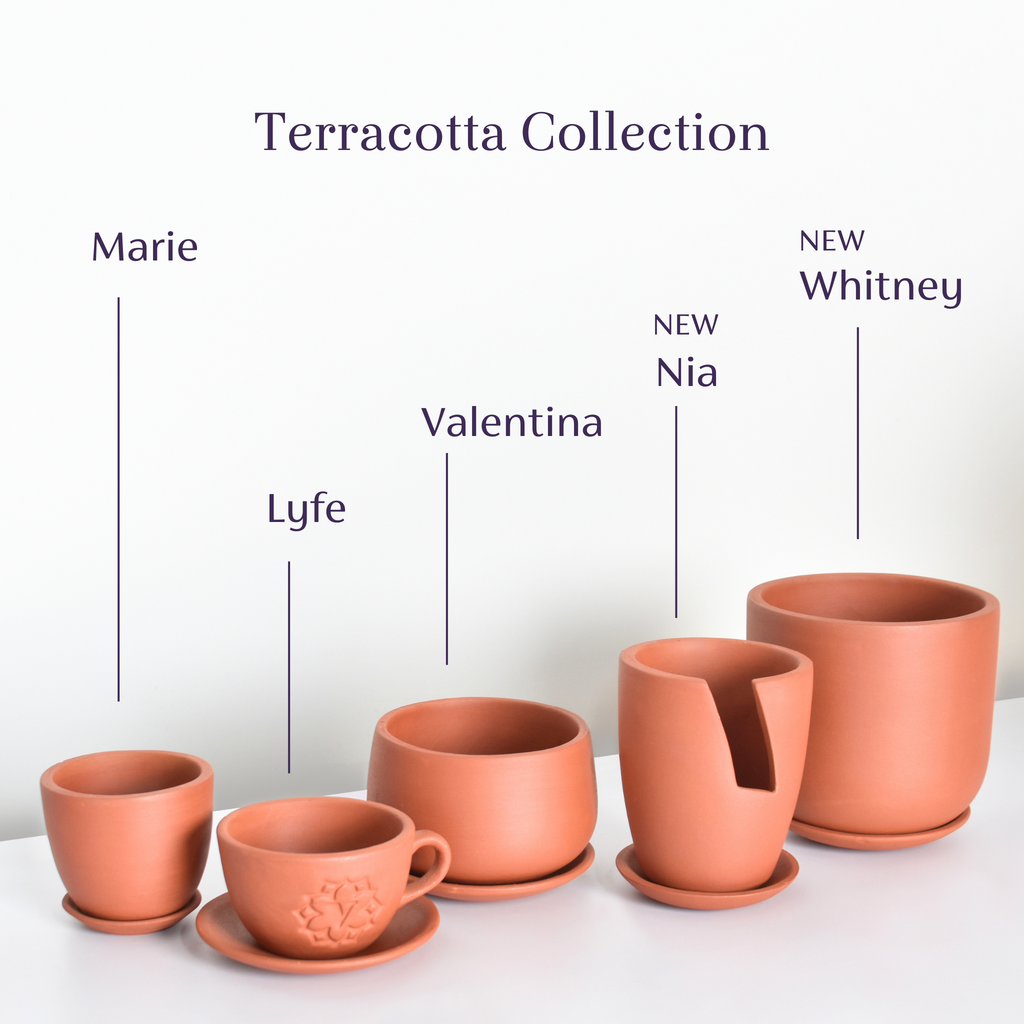 Lyfe Teacup Looking Terracotta  Planter - Empty