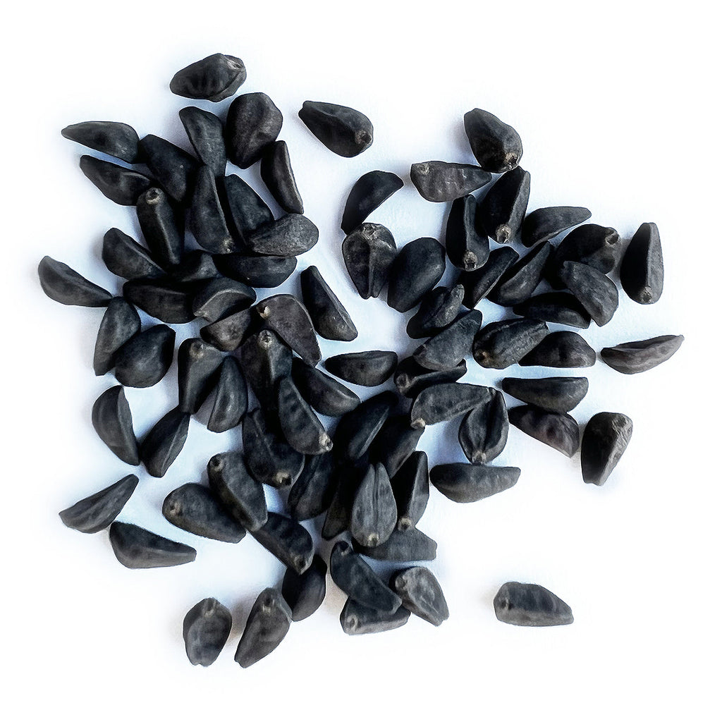 The Old Farmer's Almanac Heavenly Blue Morning Glory Seeds