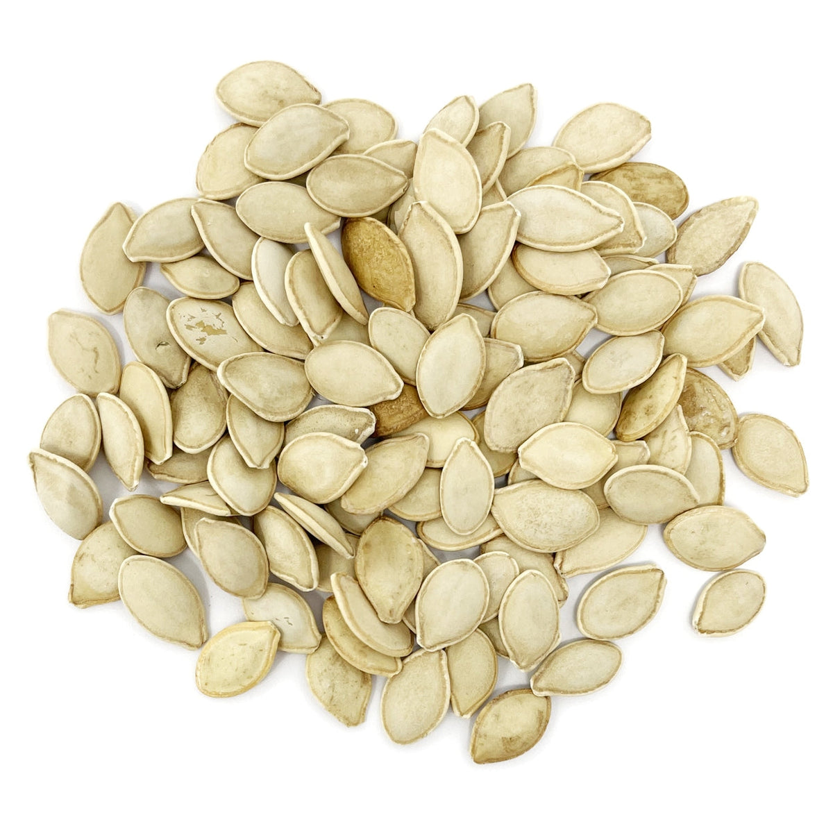 The Old Farmer's Almanac Heirloom Yellow Crookneck Summer Squash Seeds
