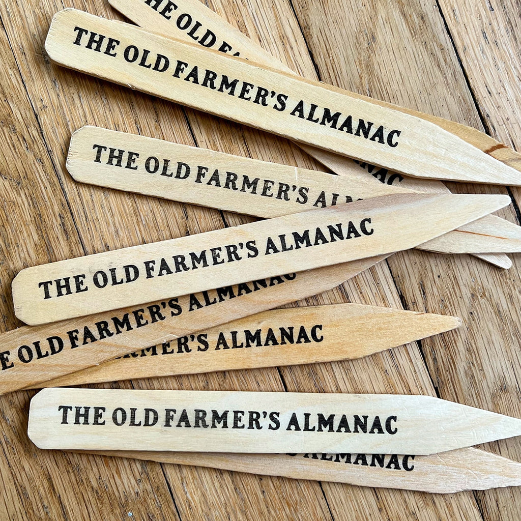 The Old Farmer's Almanac Wooden Garden Seed & Plant Markers - 40 Stakes - 8.0 x 0.875 Inches Each