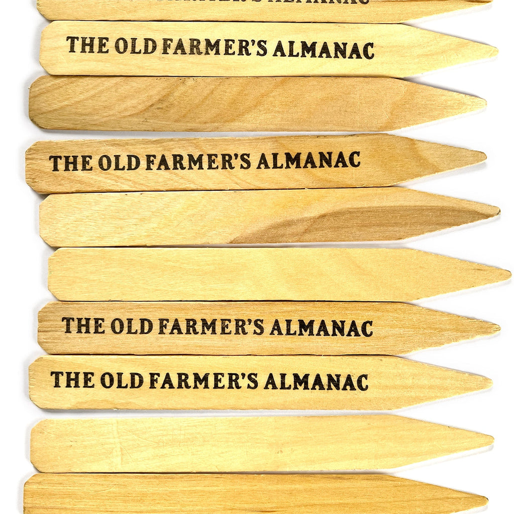 The Old Farmer's Almanac Wooden Garden Seed & Plant Markers - 40 Stakes - 8.0 x 0.875 Inches Each