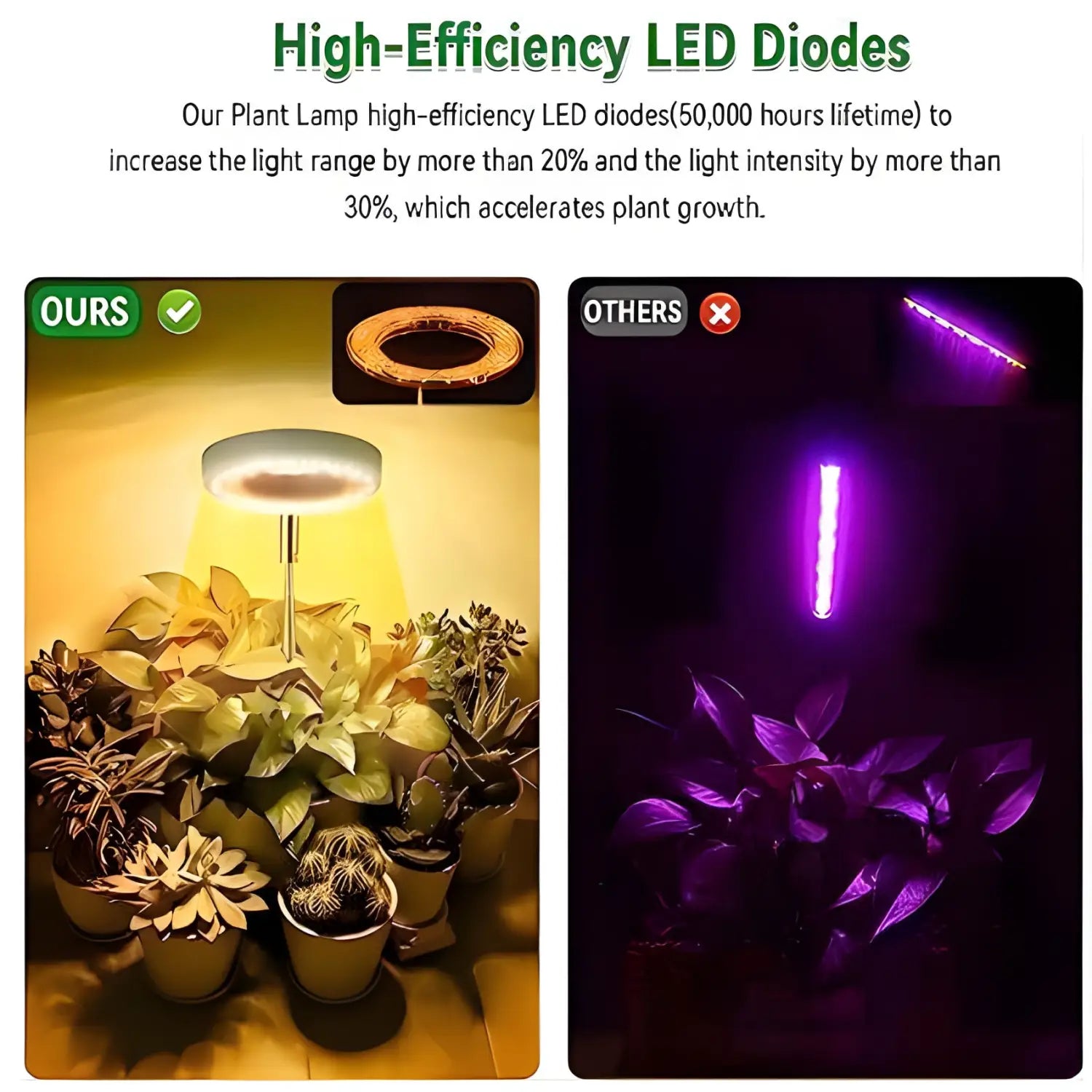 Timing Dimming Plant Grow Light for Succulent Bonsai Plants