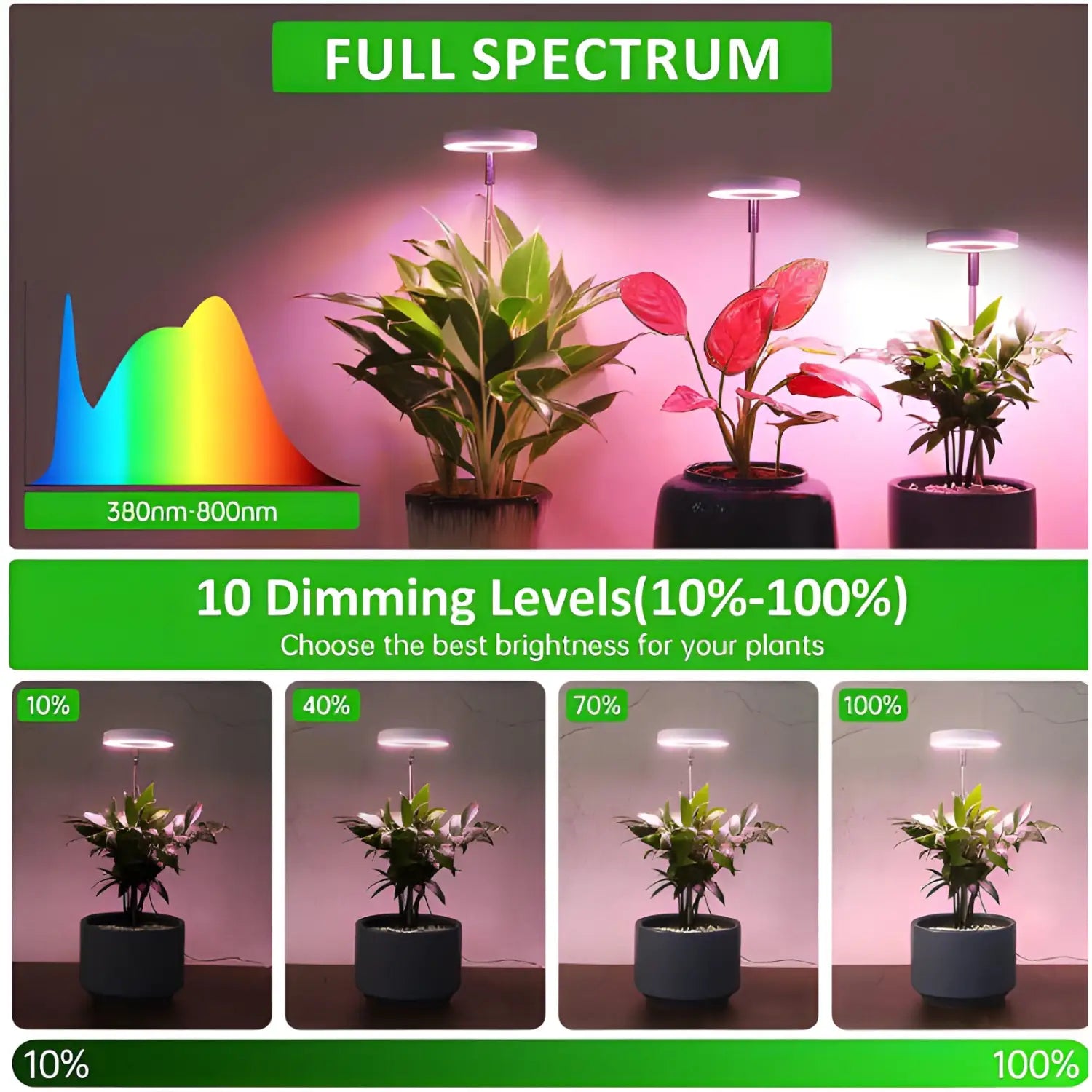 Timing Dimming Plant Grow Light for Succulent Bonsai Plants