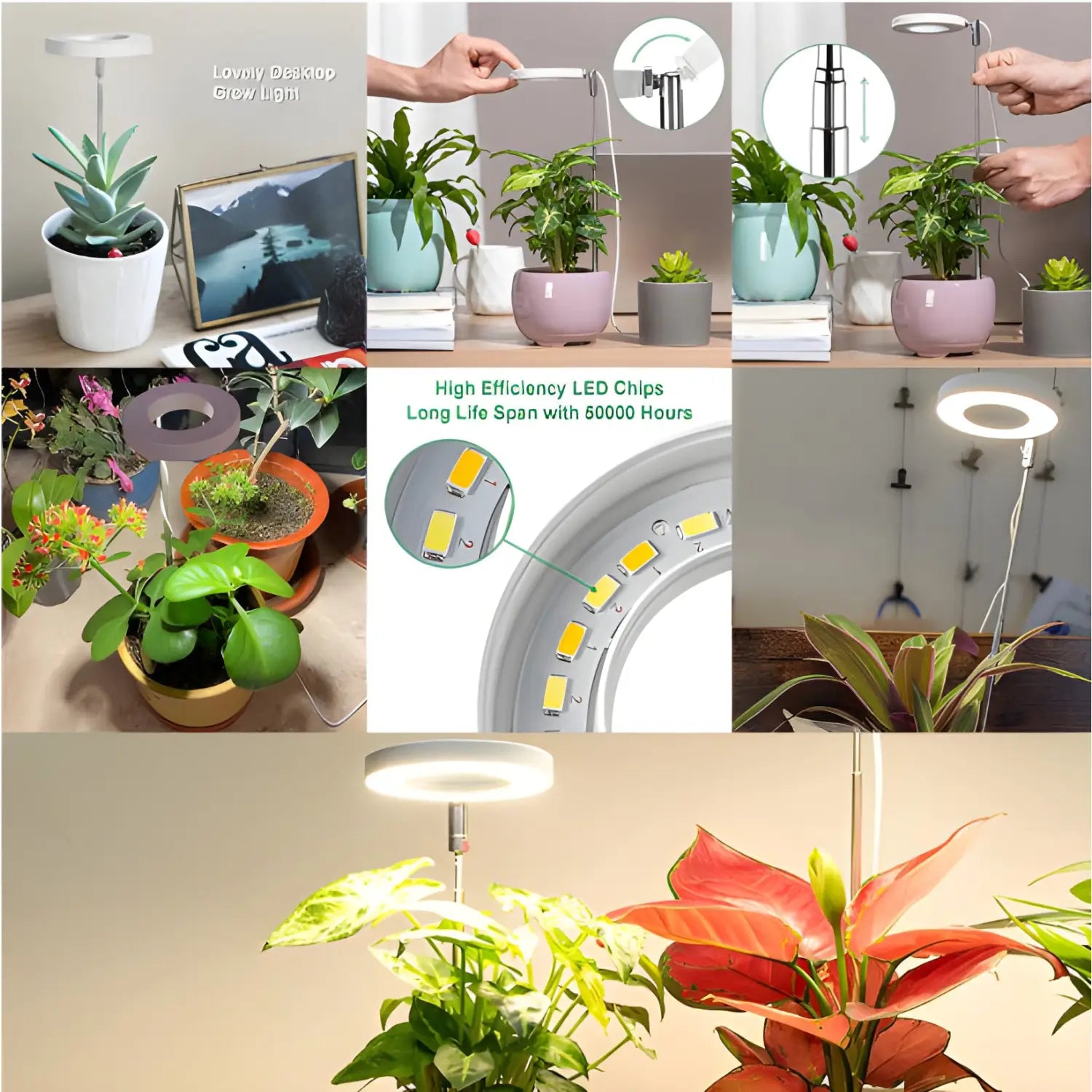 Timing Dimming Plant Grow Light for Succulent Bonsai Plants