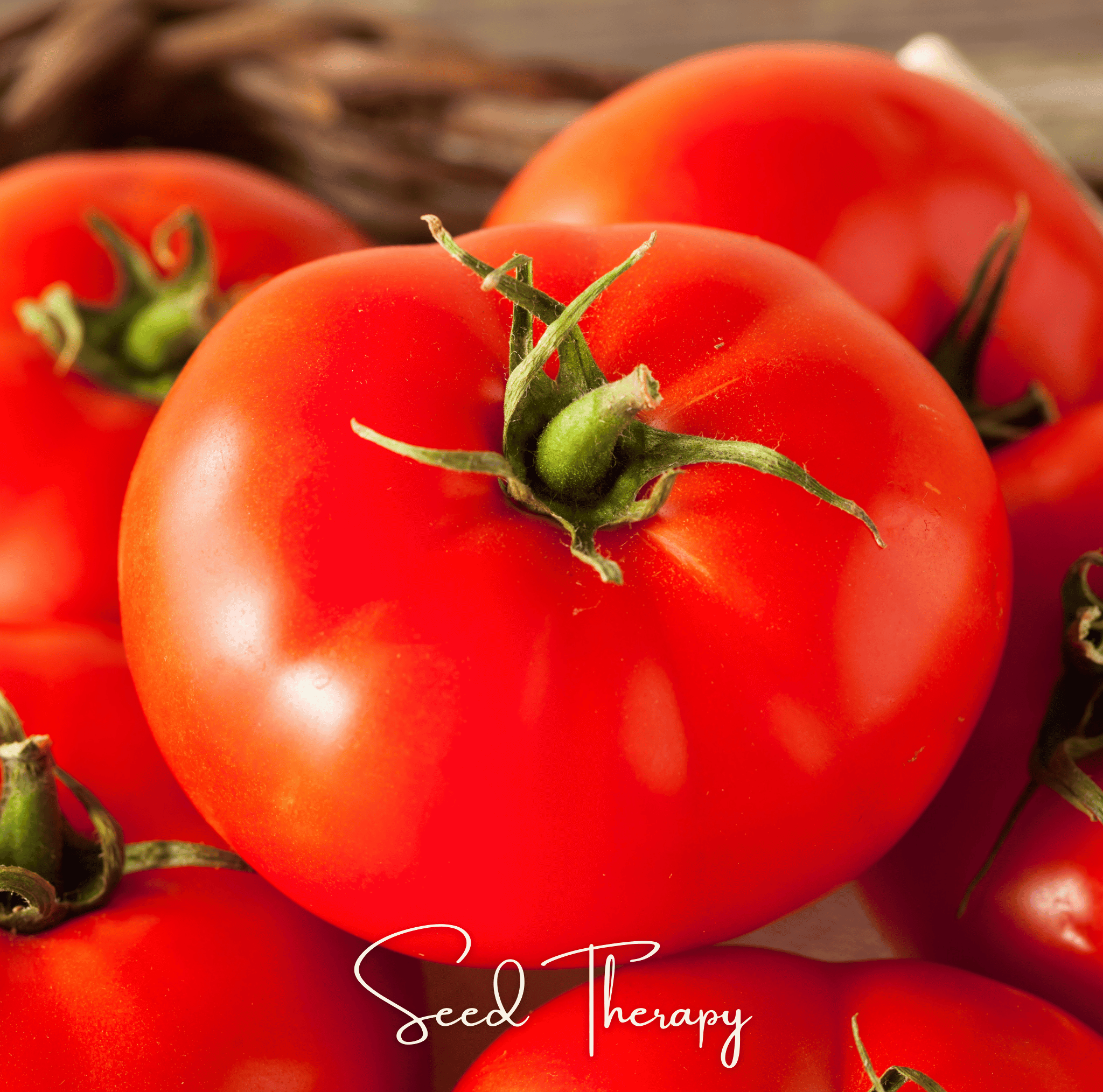 Beefsteak Tomato – 30 Seeds