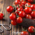 Small Red Cherry Tomato Seeds – Heirloom, Indeterminate, Sweet Flavor, 50 Seeds, Open Pollinated, Non-GMO, Solanum lycopersicum