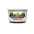 American Ash Tree Grow Kit | Grow Ash Tree from Seed | Seeds In A Cup®