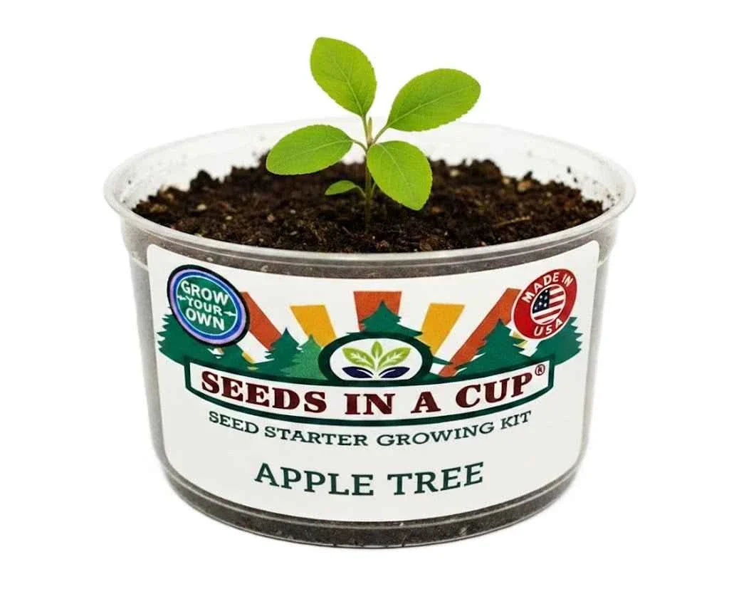 Apple Tree Grow Kit | Grow Your Own Apples from Seed | Seeds In A Cup®