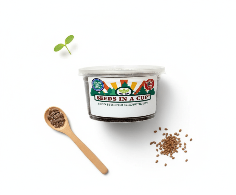 Kale Grow Kit | Grow Kale from Seed | Seeds In A Cup®