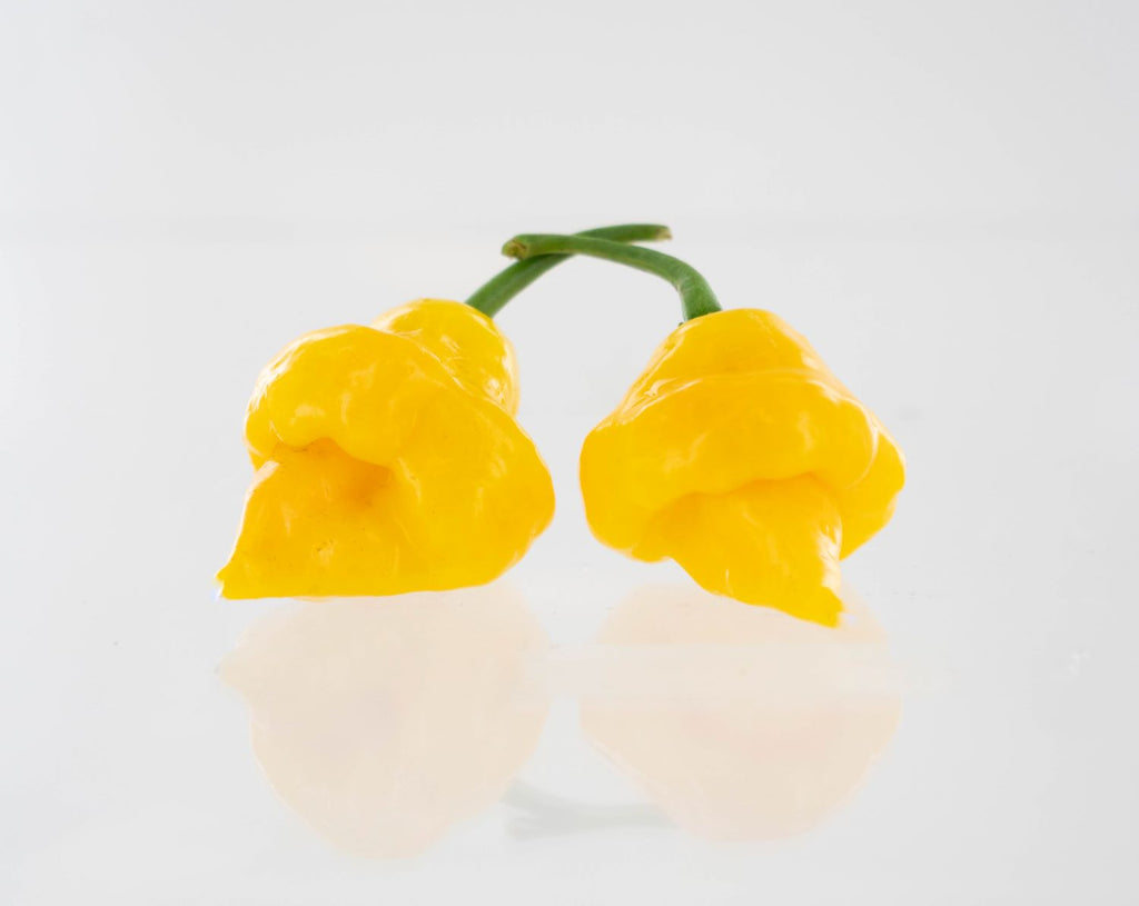 Trinidad Perfume Pepper Seeds