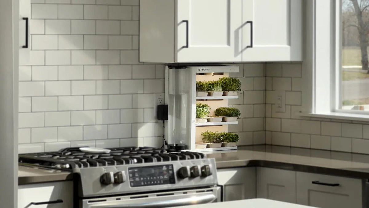 Instafarm -  (Countertop Farm)