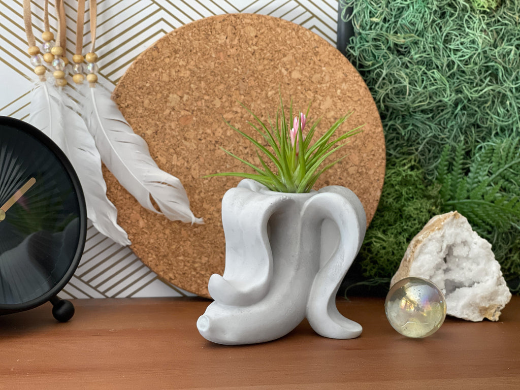 Banana Air Plant Holder
