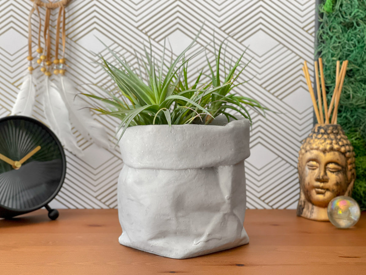 Paper Bag Succulent Planter Pot