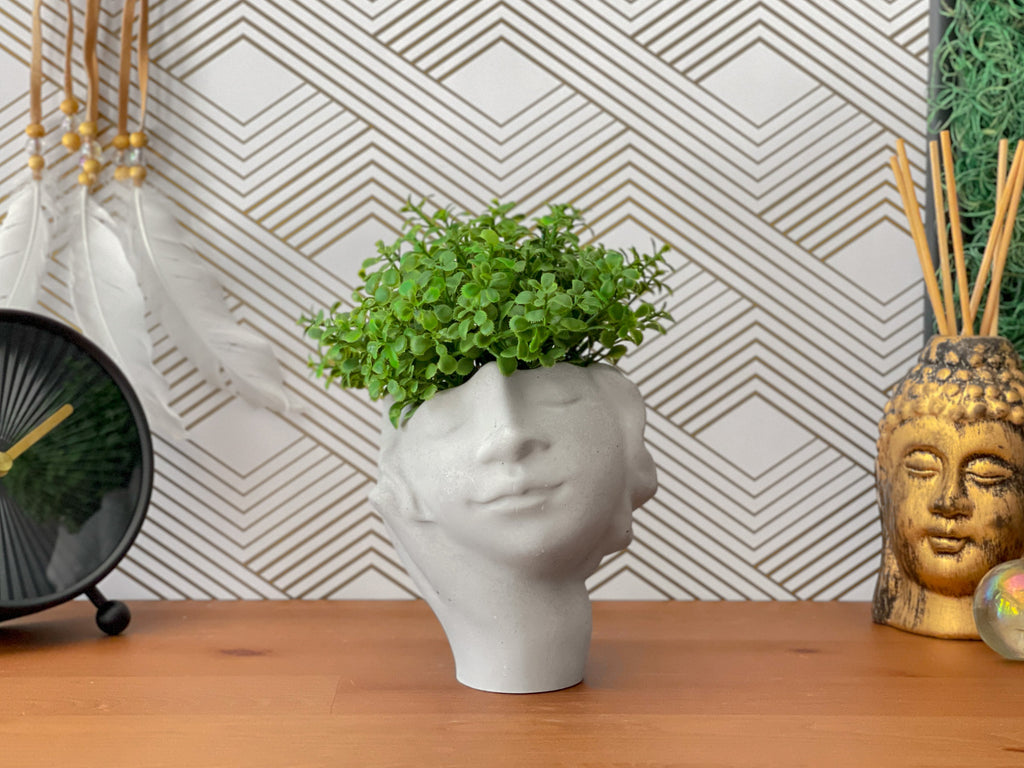 Face Succulent Planter on Hand