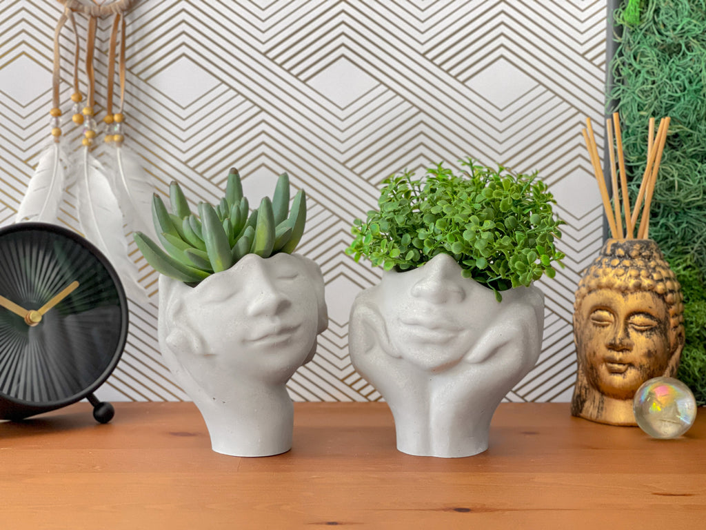 Face Succulent Planter on Hand