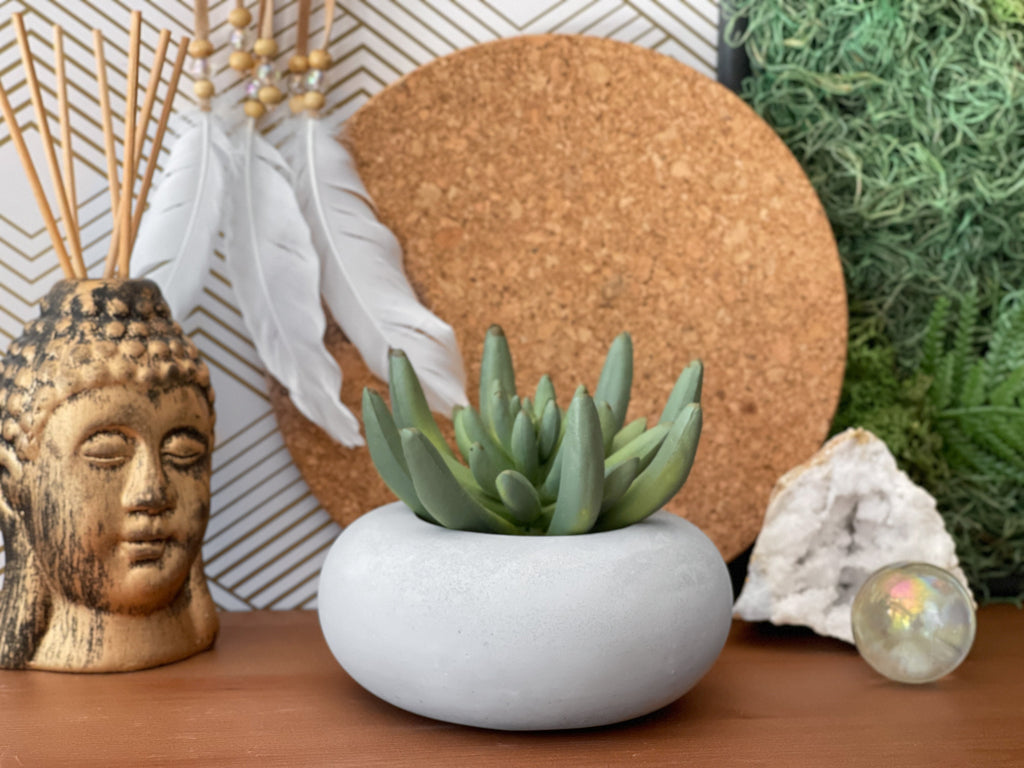 Perfect Succulent Planter