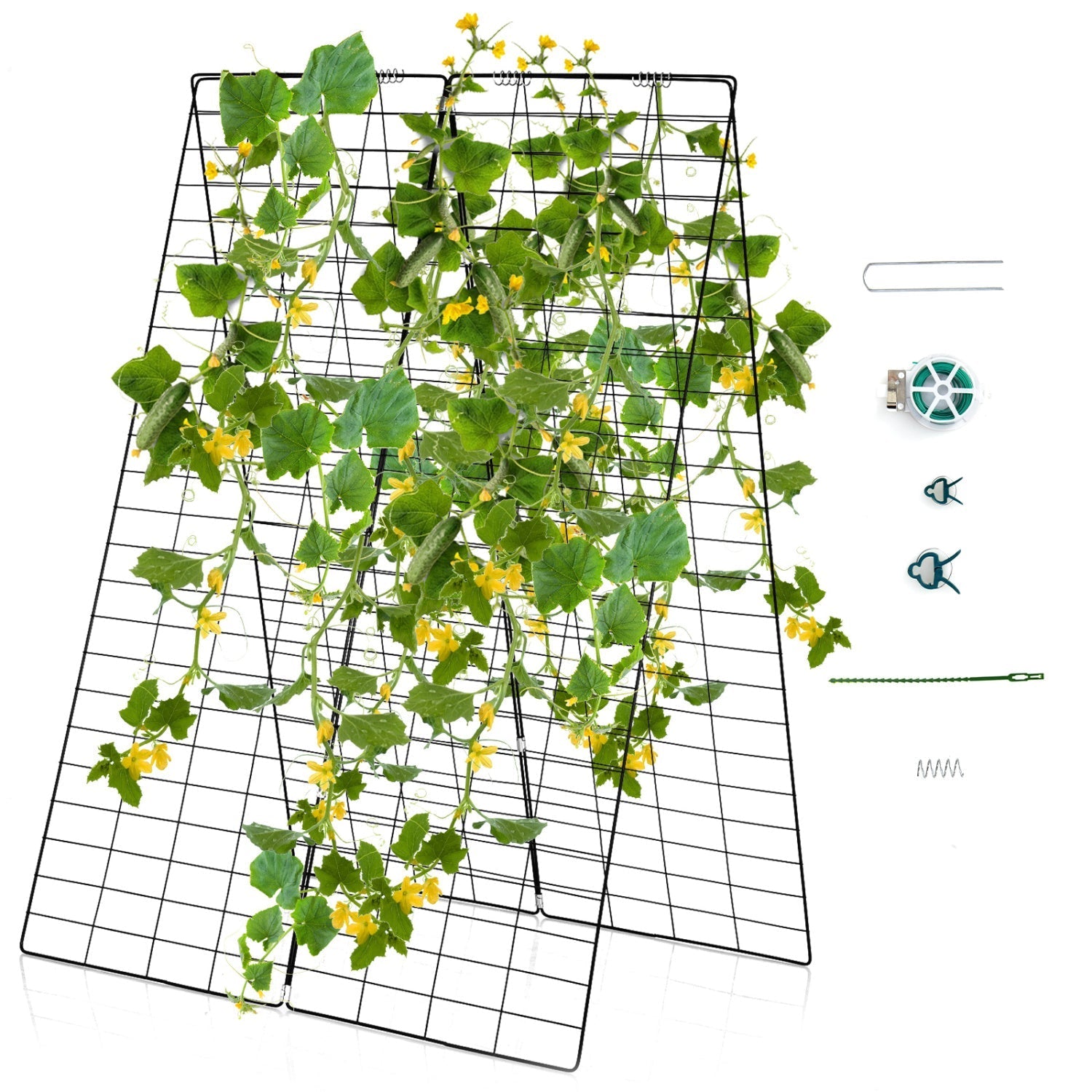 A-Frame Garden Trellis for Climbing Plant with Ground Stake and Cable Tie
