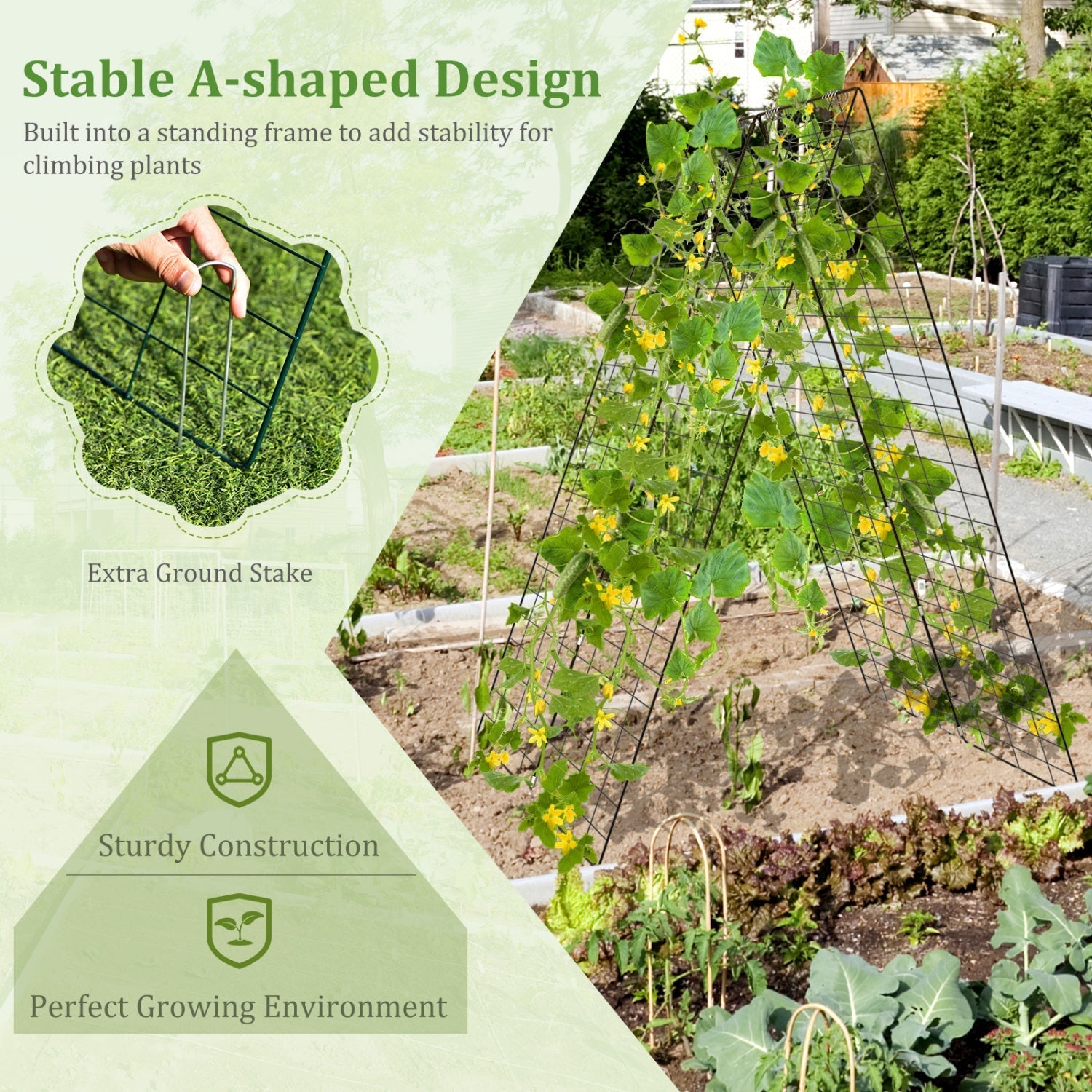 A-Frame Garden Trellis for Climbing Plant with Ground Stake and Cable Tie