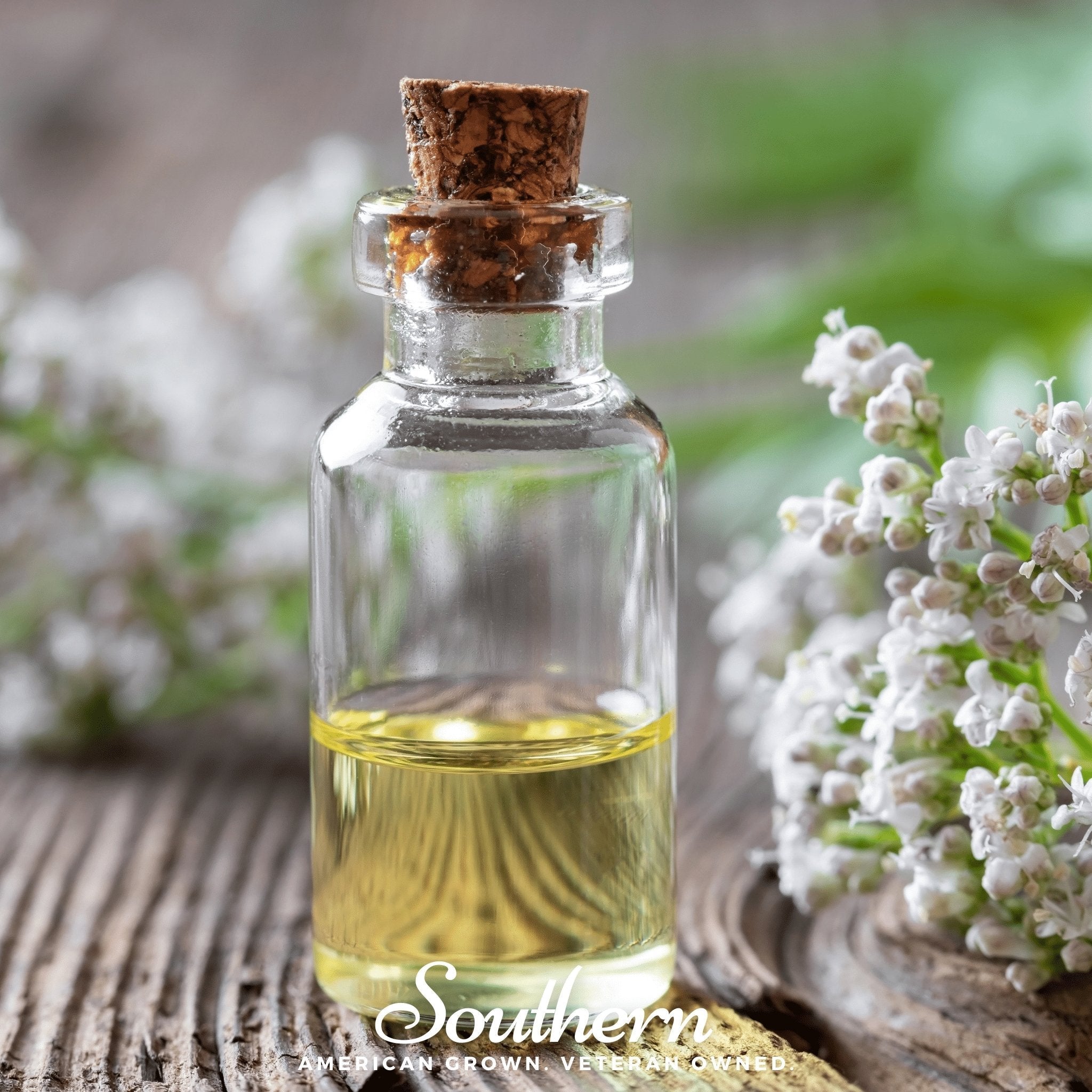 Valerian – 100 Seeds