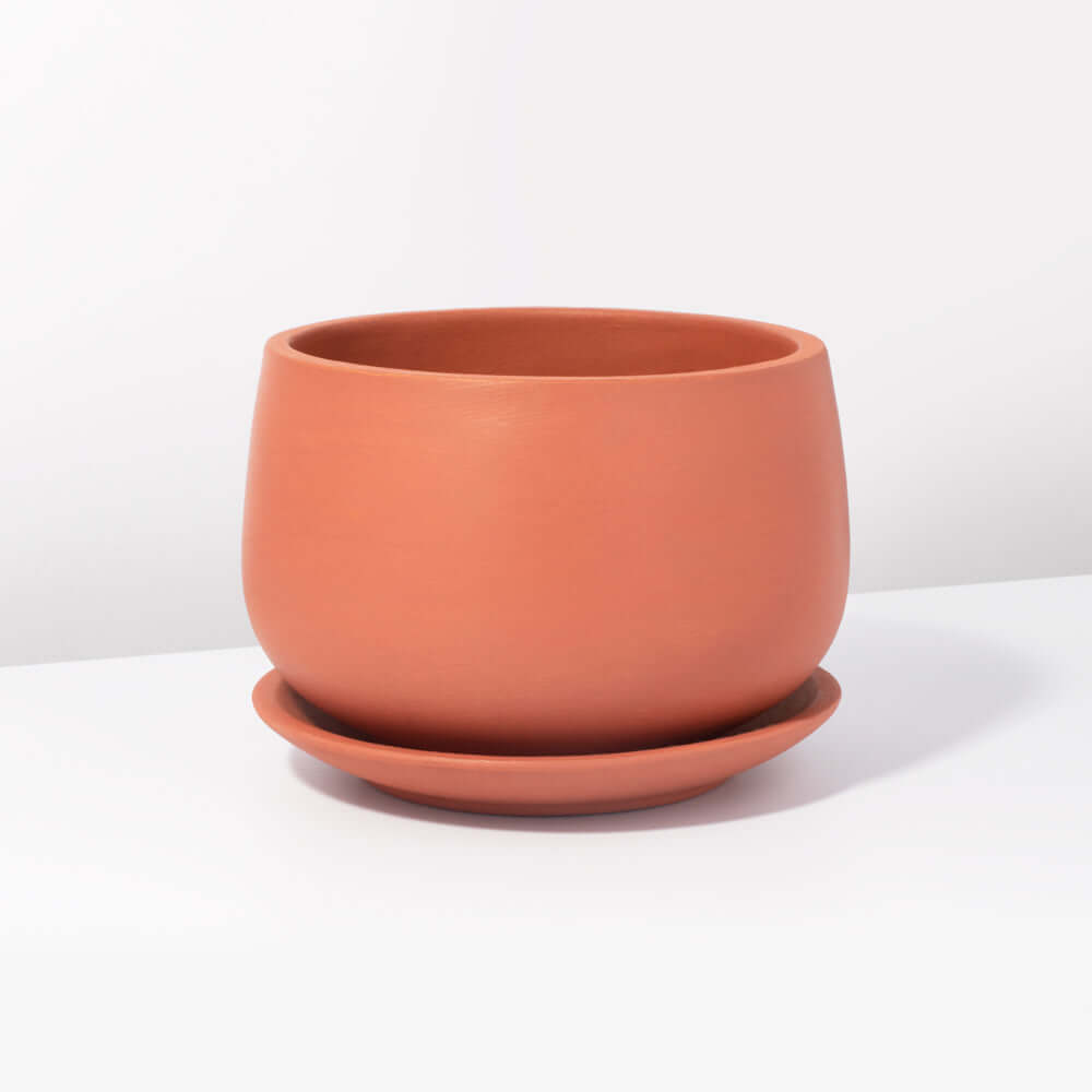 Valentina Terracotta Minimalist Planter 5.5"- Empty