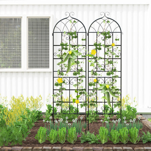 Costway 2 Pack 71" x 20" Heavy-Duty Metal Garden Trellis Metal Coating Patio for Outdoor