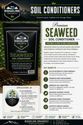 Ridgeline Organics Soluble Kelp Extract
