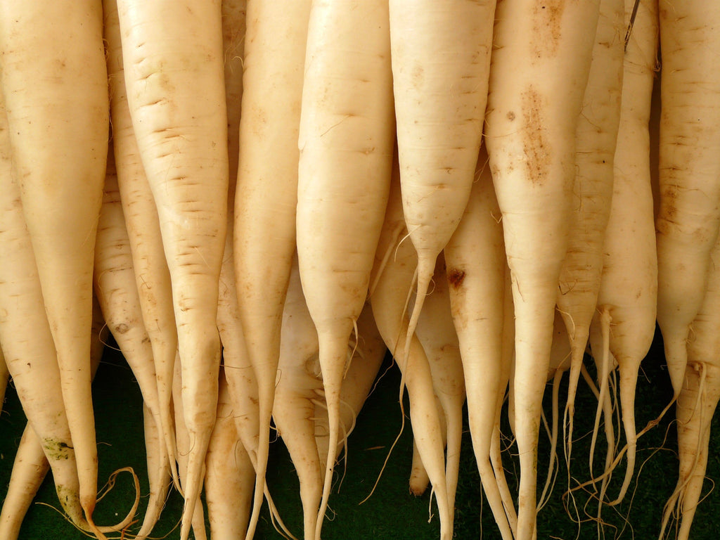 300 LUNAR WHITE CARROT Daucus Carota Vegetable Seeds