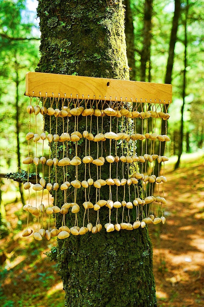 Chacha Oleander Seed Hand Bell | Handmade Rainforest Percussion Instrument