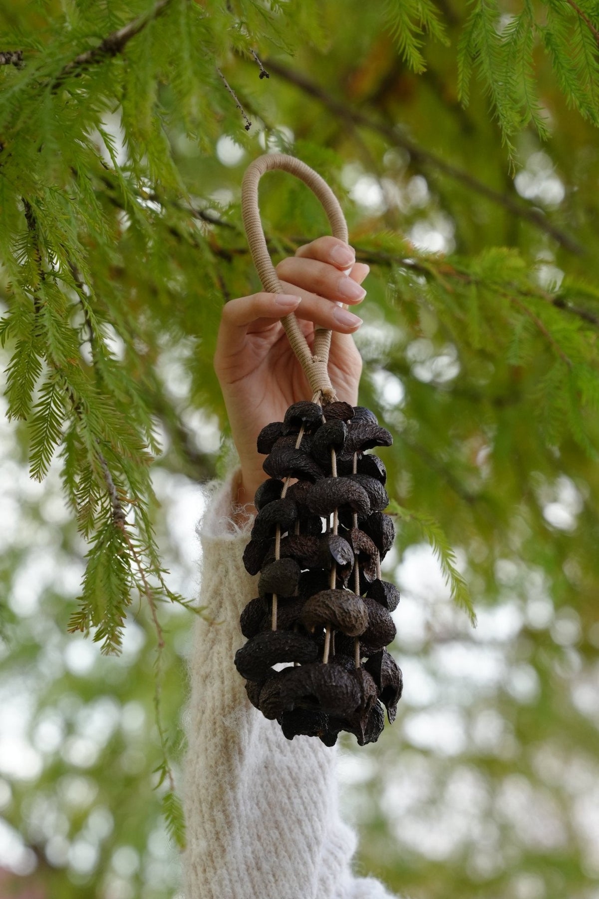 Seed Shaker | Handmade Moonin Seed Shell Hand Bell - Natural Rainforest Decor