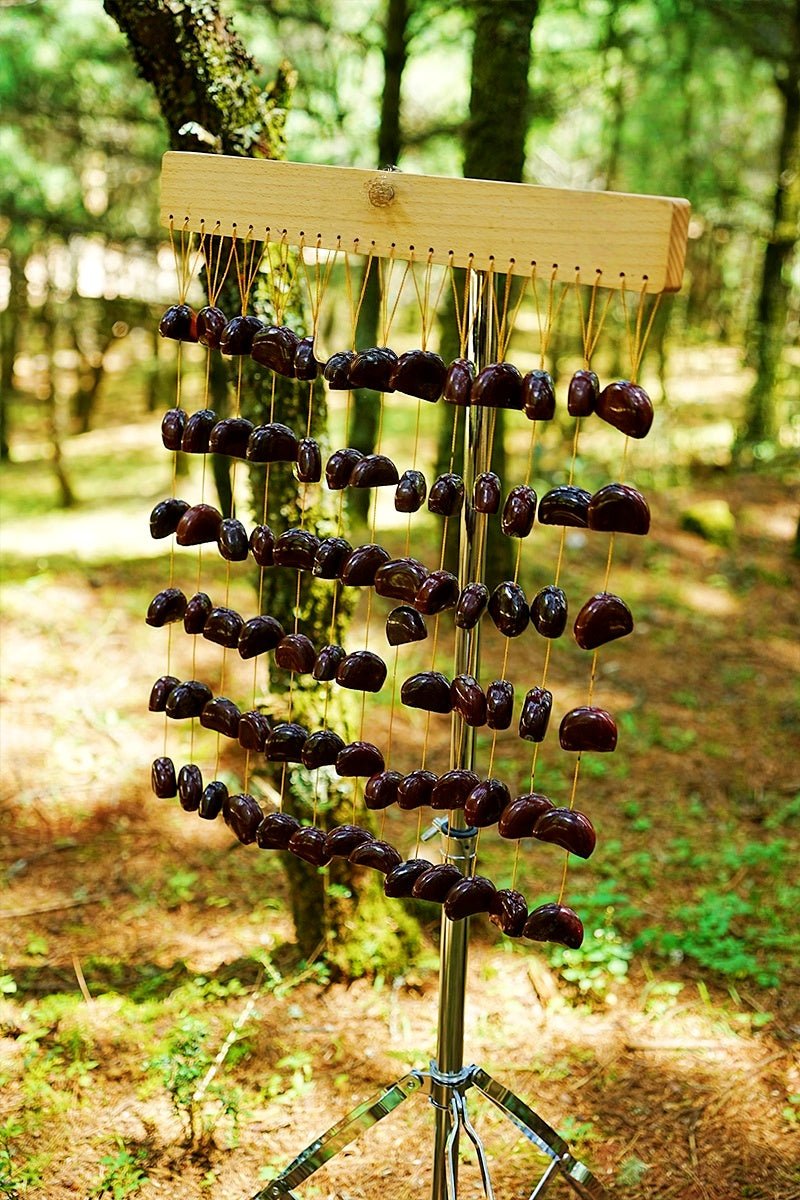 Handmade Juju Seed Shell Hand Bell