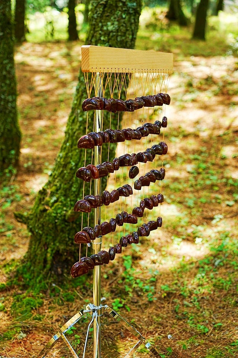 Handmade Juju Seed Shell Hand Bell