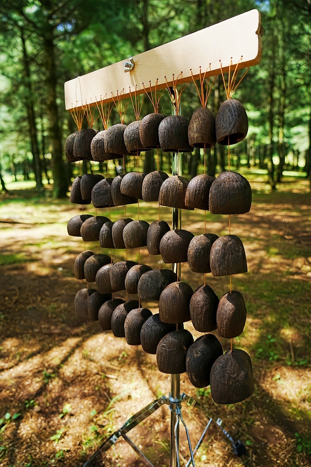 Handmade Salin Seed Shell Hand Bell – Natural Rainforest Decor