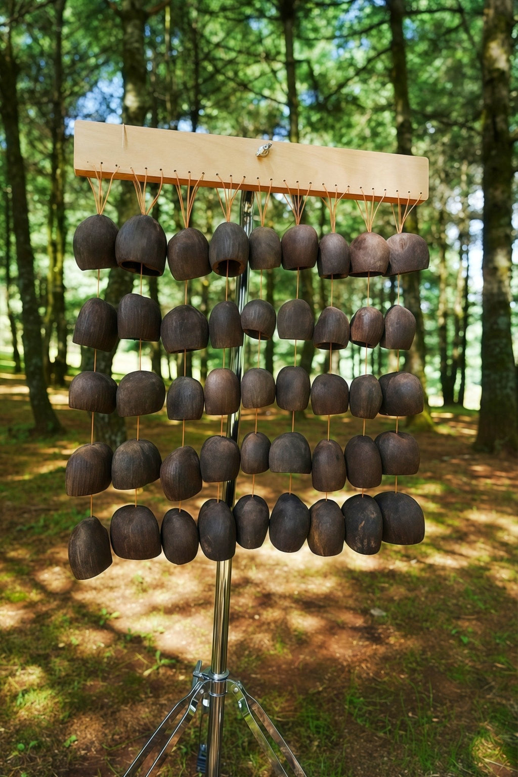 Handmade Salin Seed Shell Hand Bell – Natural Rainforest Decor