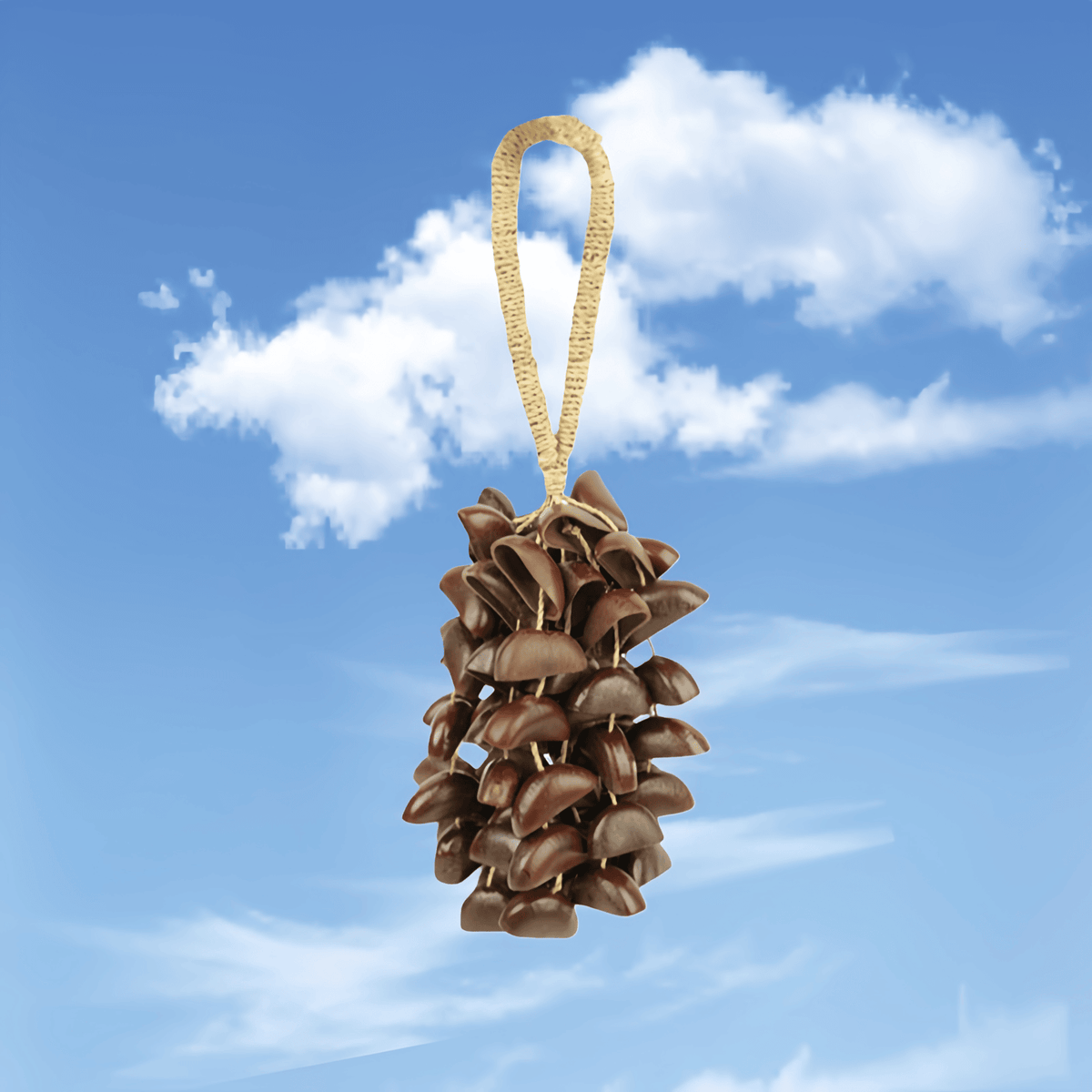 Hand Bell | Juju Duckfoot Vine Seed Shaker