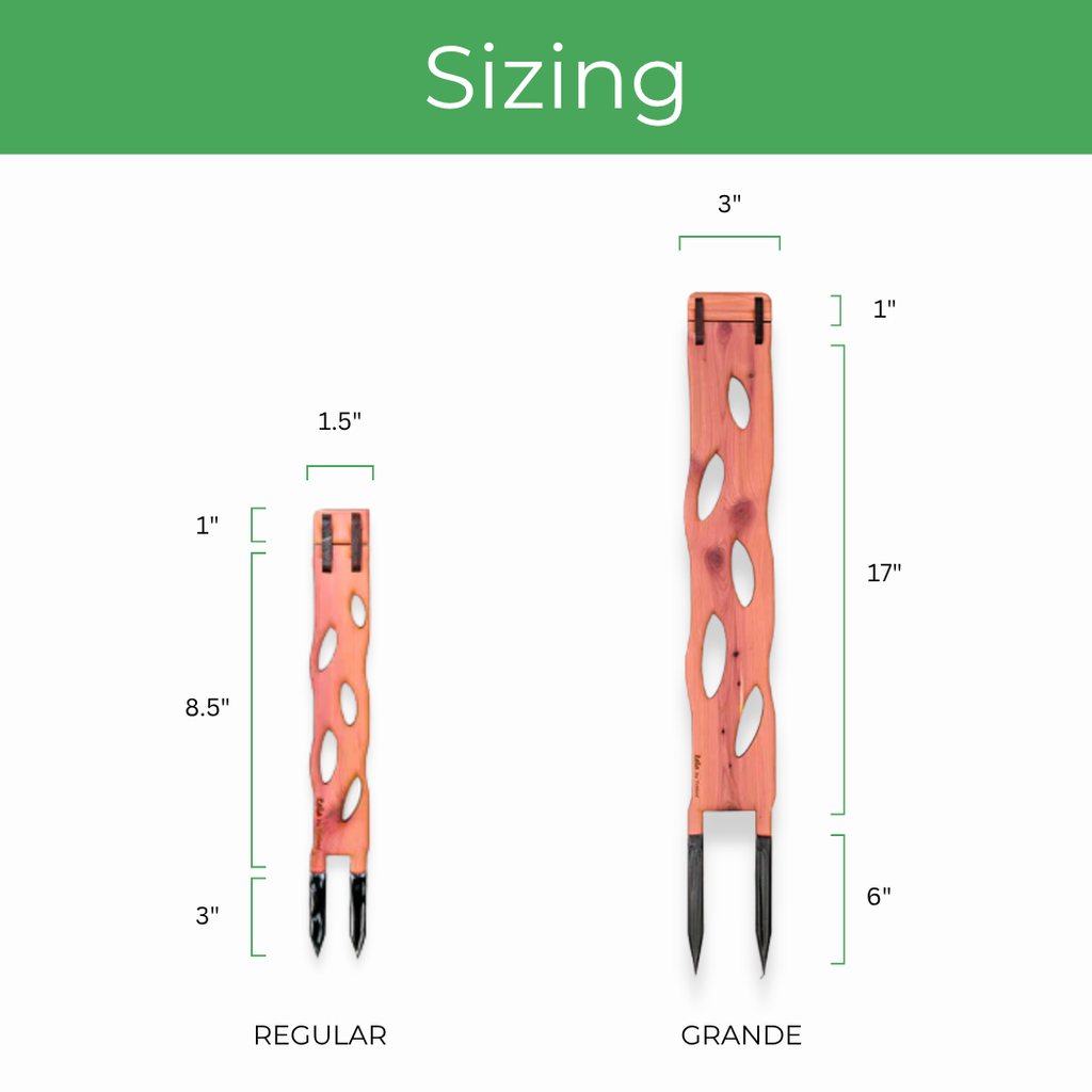 Zella - Wooden Extendable Plant Support
